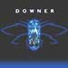 Downer