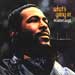 Marvin Gaye