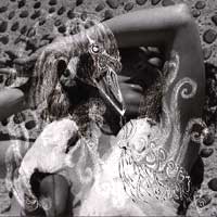 Bjork