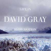 David Gray