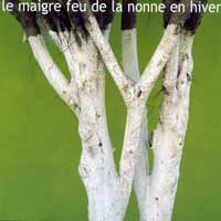 Le maigre feu de la nonne en hiver