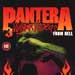 pantera