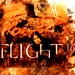 flight