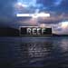 reef